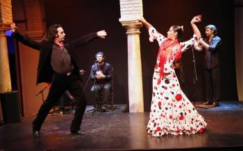 Réserver pour le Musée de la Danse Flamenco